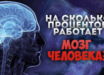 На сколько процентов работает человеческий мозг