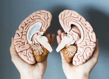 Как развить правое полушарие мозга: 10 упражнений