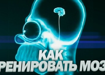 Развитие и тренировка памяти