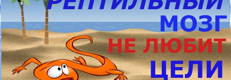 Как научиться управлять рептильным мозгом: основные правила