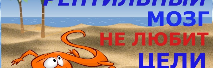 Как научиться управлять рептильным мозгом: основные правила