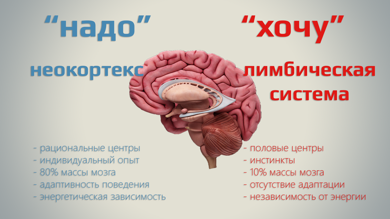 Рептильный мозг