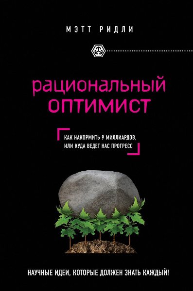 книга по воспитанию успеха рациональный оптимист